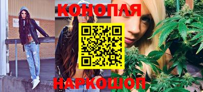 альфа пвп Волгодонск