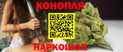 альфа пвп Волгодонск